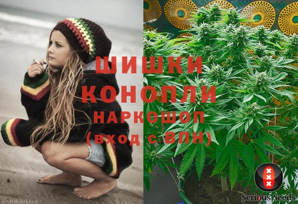 индика Гусиноозёрск