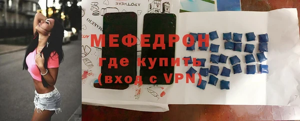 индика Гусиноозёрск