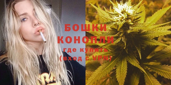 твердый Гусь-Хрустальный