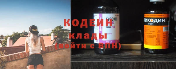 индика Гусиноозёрск