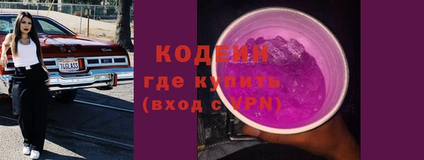 индика Гусиноозёрск