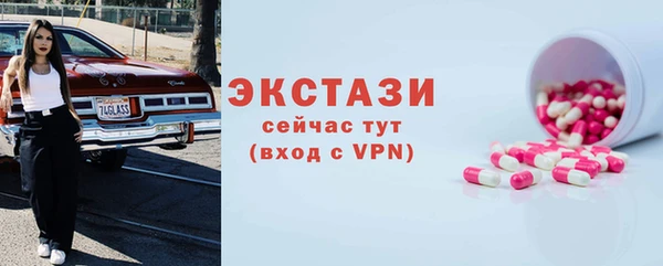 индика Гусиноозёрск
