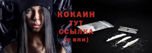 твердый Гусь-Хрустальный