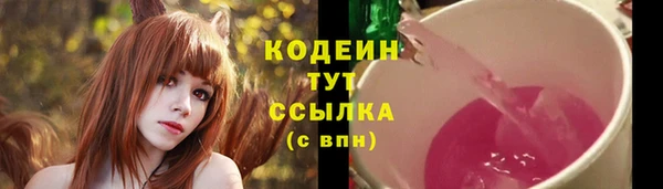 твердый Гусь-Хрустальный