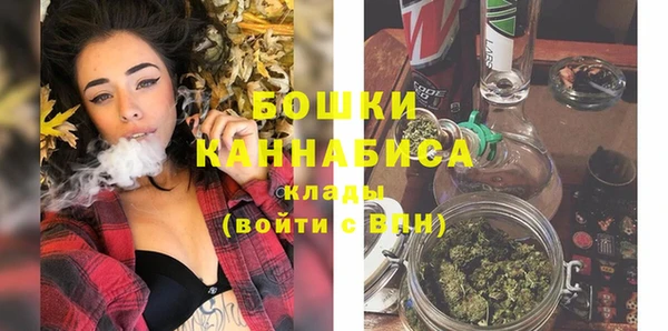 индика Гусиноозёрск