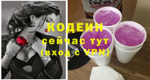 индика Гусиноозёрск