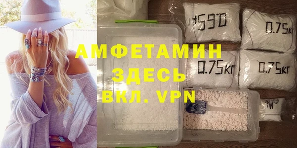 индика Гусиноозёрск