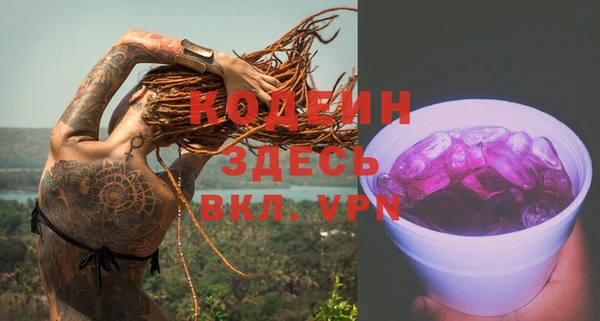 индика Гусиноозёрск