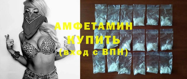 индика Гусиноозёрск