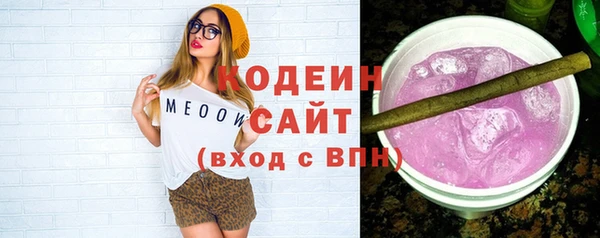 индика Гусиноозёрск