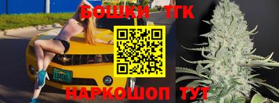 индика Гусиноозёрск