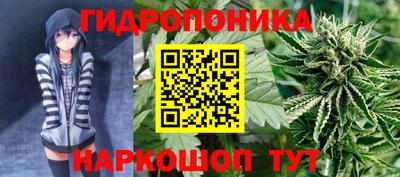 индика Гусиноозёрск