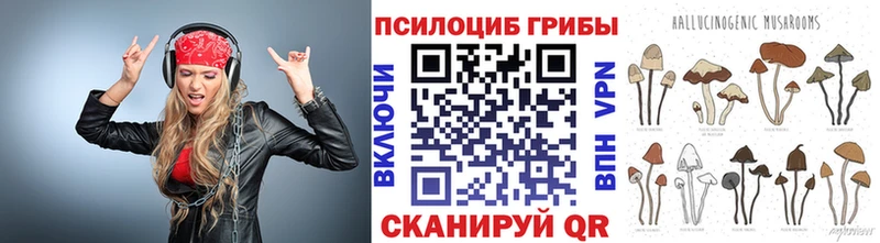 Галлюциногенные грибы Psilocybine cubensis  mega как зайти  Москва  купить наркотики сайты 